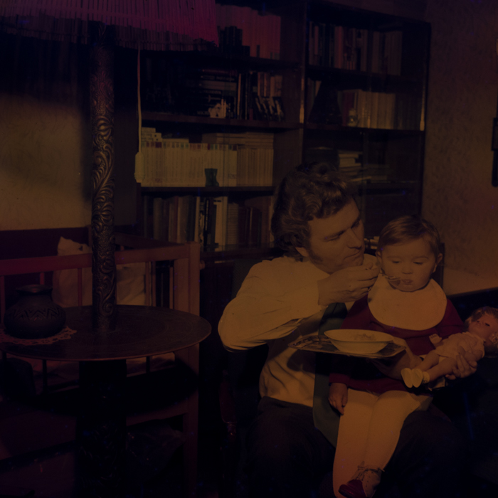 minerva_dn_1980_2516_reproduceri_002