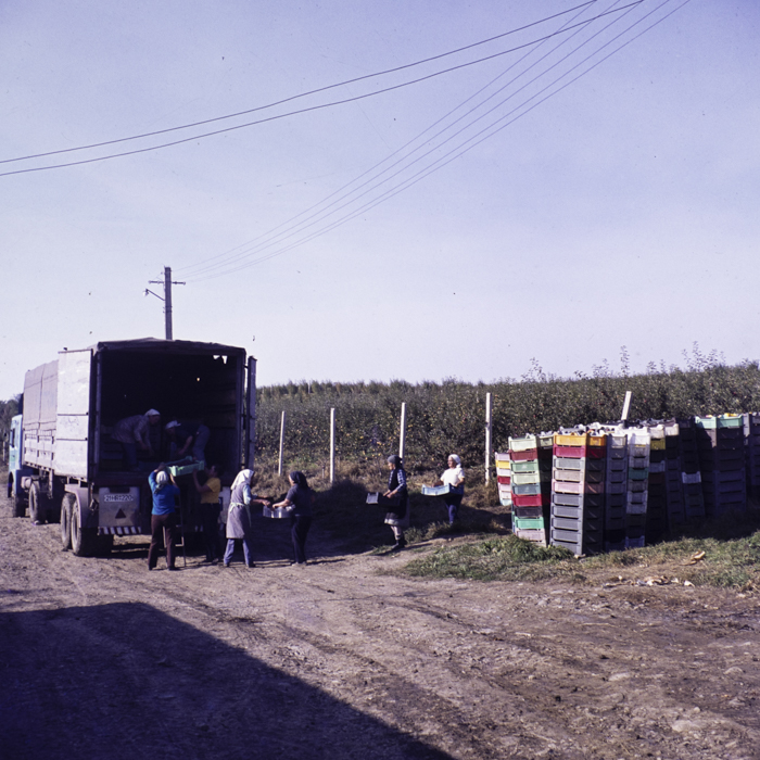 minerva_dn_1980_2517_aspecte_jud_covasna_004