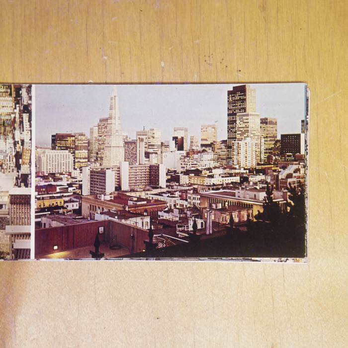 minerva_dn_1980_2525_reproduceri_002