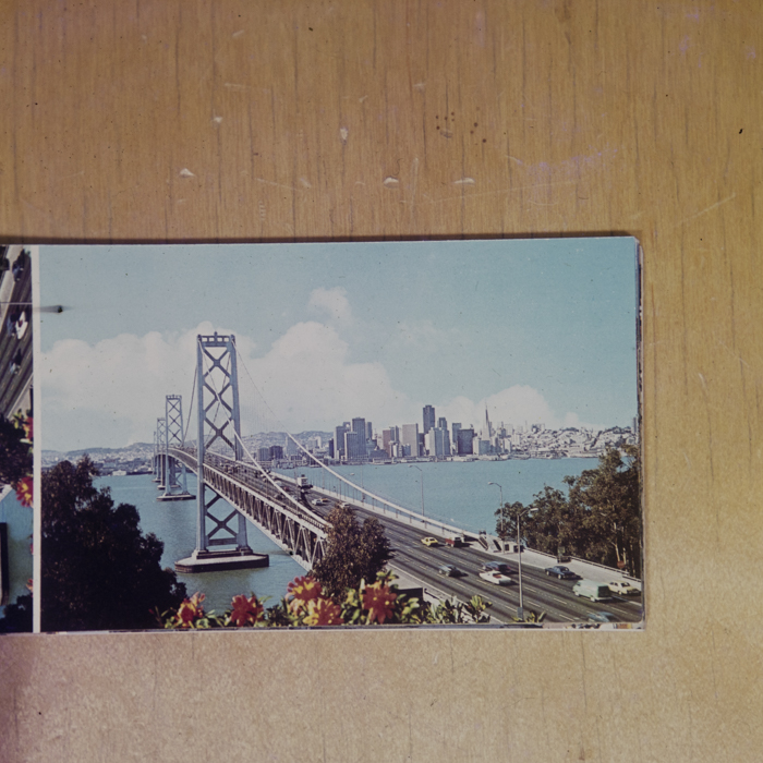 minerva_dn_1980_2525_reproduceri_005