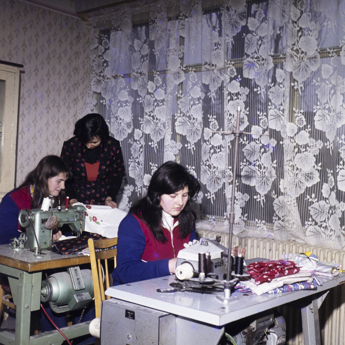 minerva_dn_1981_2533_aspecte_jud_arad_002