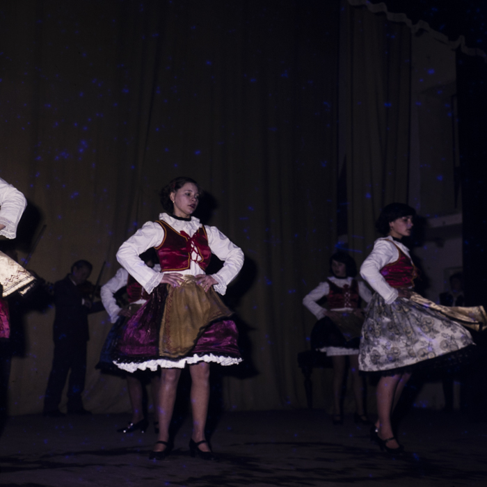 minerva_dn_1981_2534_dansuri_populare_maghiare_arad_002