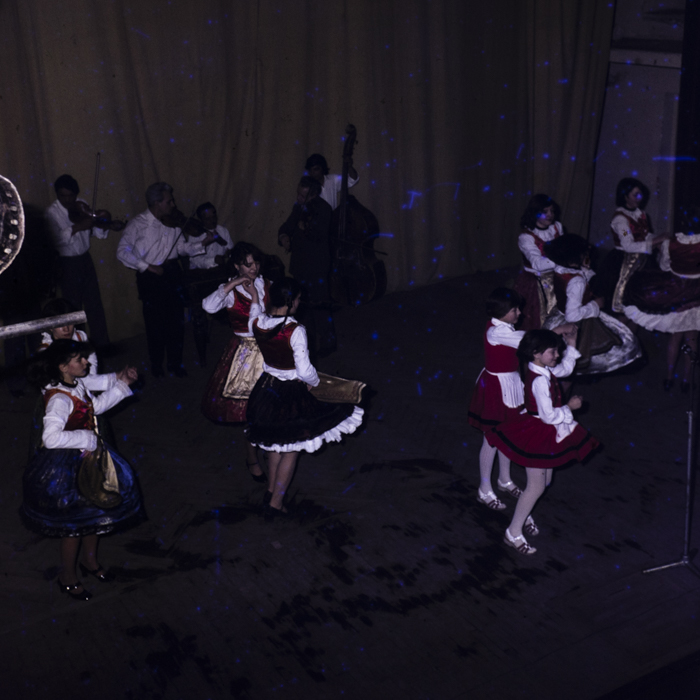 minerva_dn_1981_2534_dansuri_populare_maghiare_arad_004