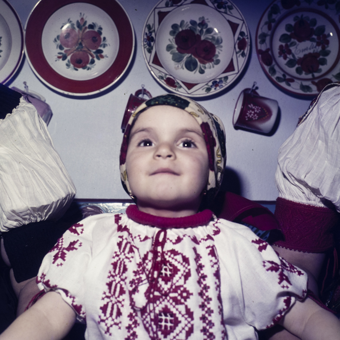 minerva_dn_1981_2546_izvoru_crisului_001