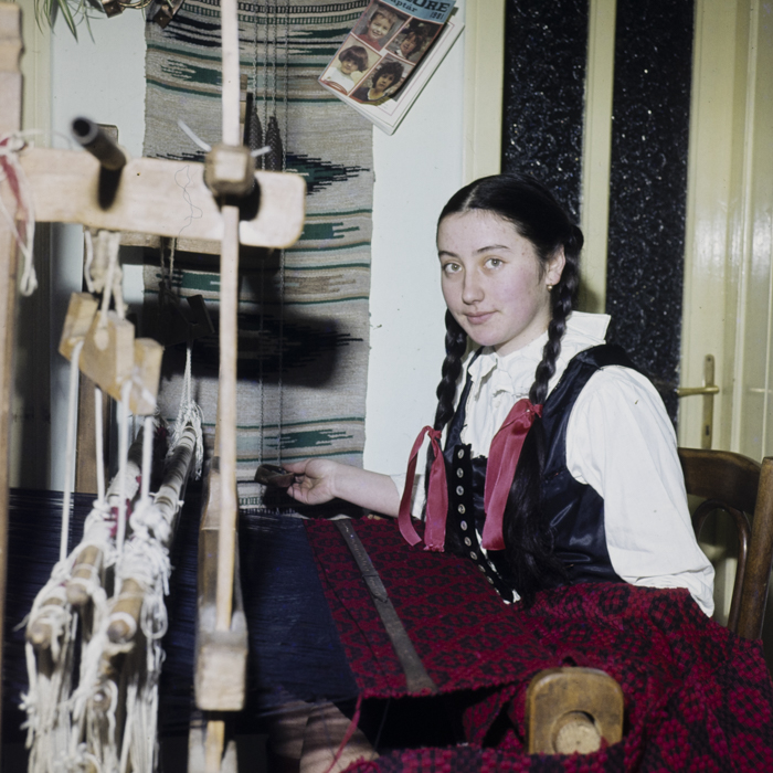 minerva_dn_1981_2558_comuna_joseni_006