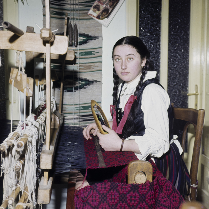 minerva_dn_1981_2558_comuna_joseni_007