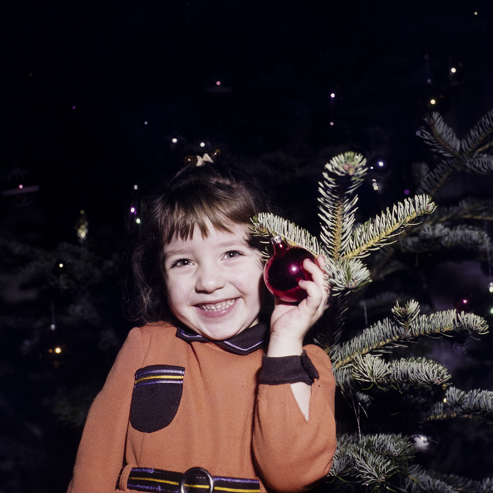 minerva_dn_1982_2592_pom_de_iarna_003