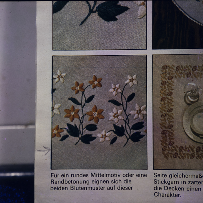 minerva_dn_1982_2597_reproduceri_001