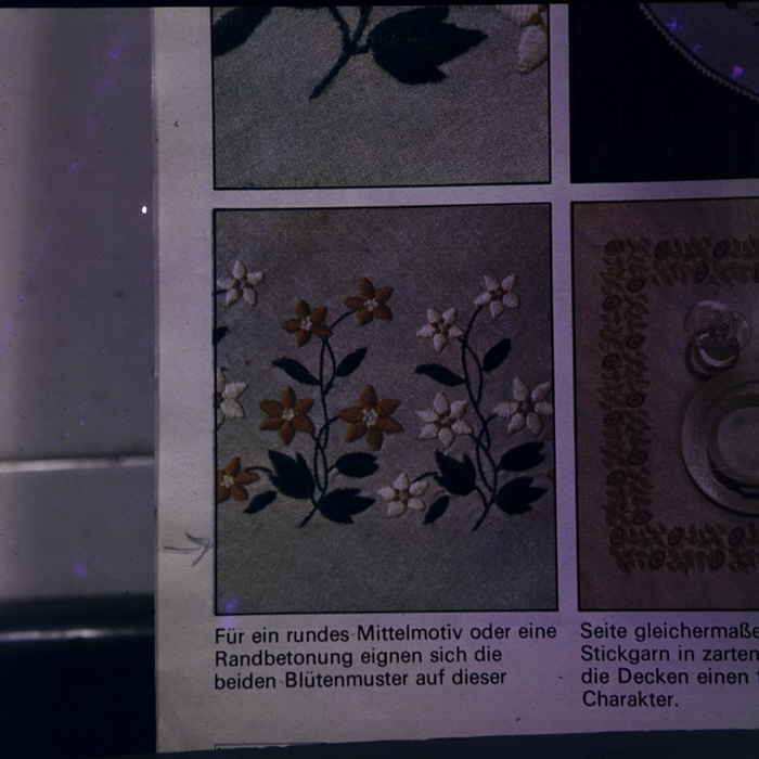 minerva_dn_1982_2597_reproduceri_004