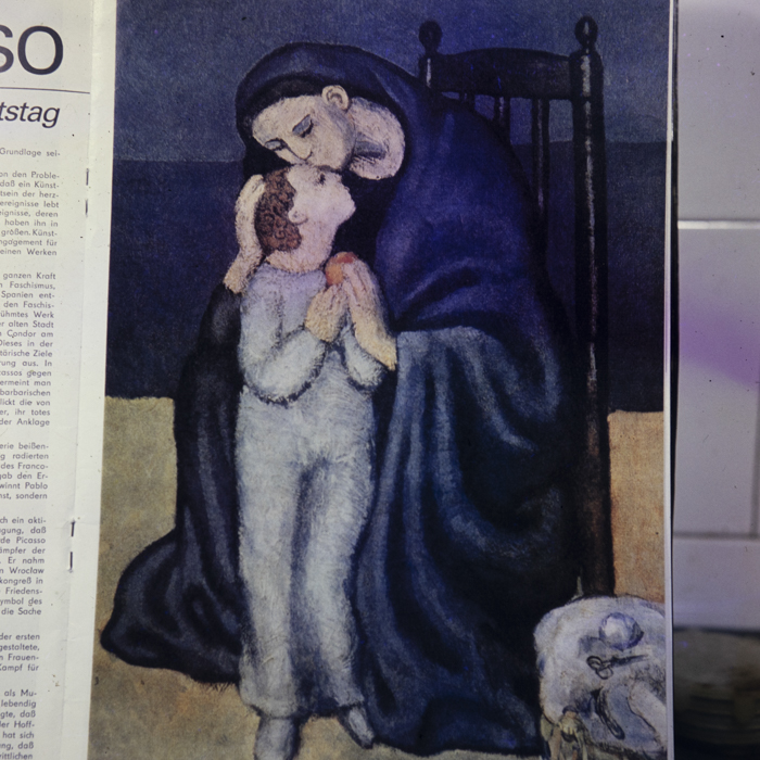 minerva_dn_1982_2597_reproduceri_008