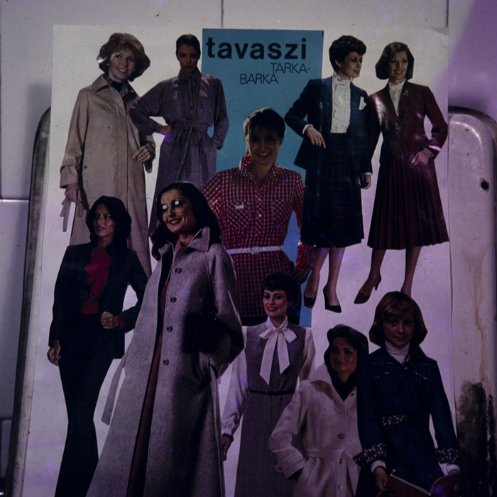 minerva_dn_1982_2597_reproduceri_010