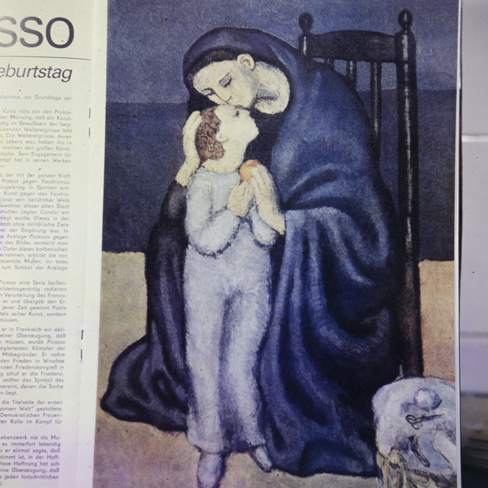 minerva_dn_1982_2597_reproduceri_012