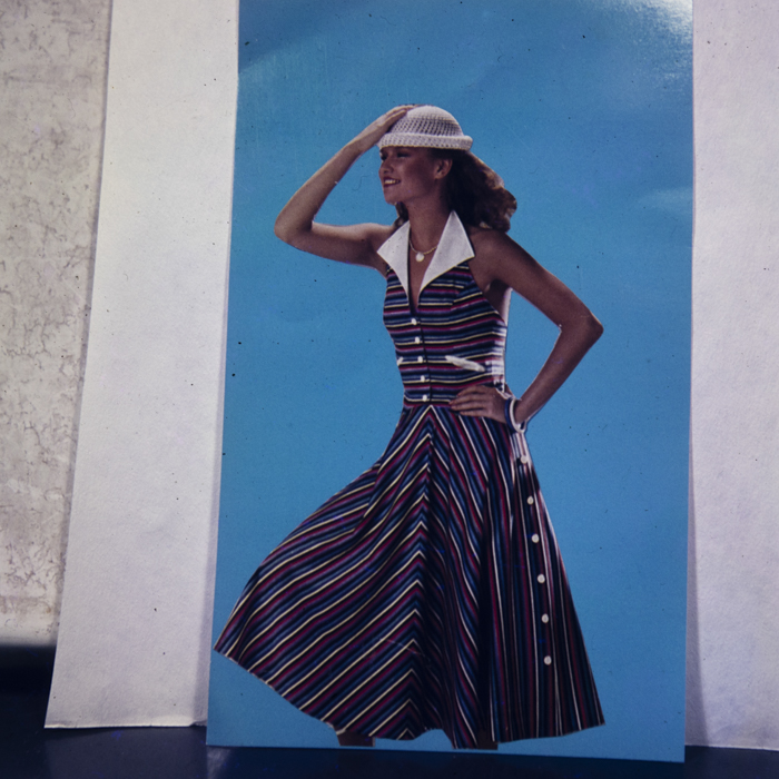 minerva_dn_1982_2597_reproduceri_014