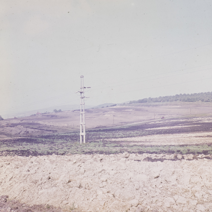 minerva_dn_1982_aspecte_din_livezi_(mere)_004