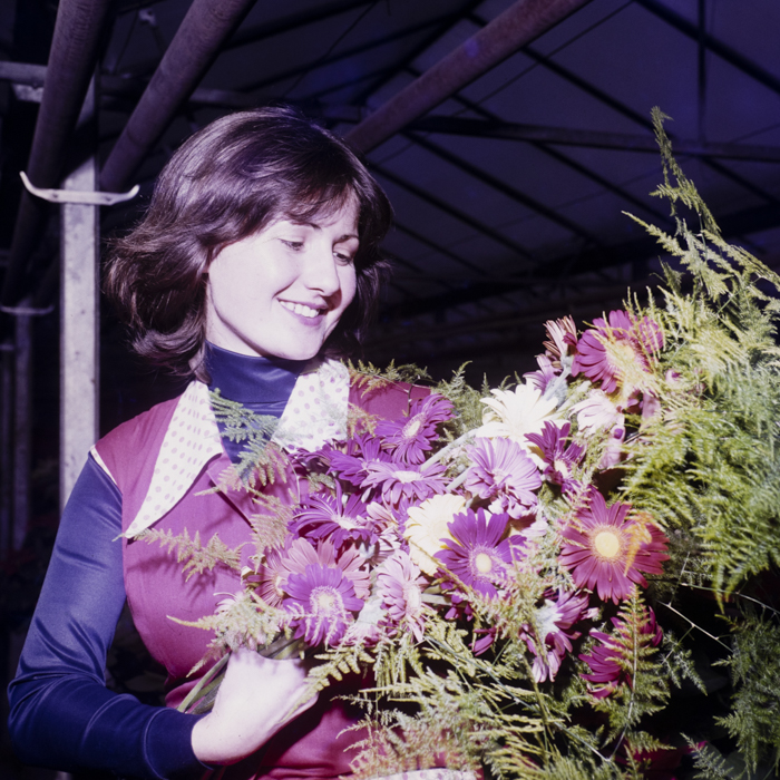 minerva_dn_1983_2636_serele_din_arad_001