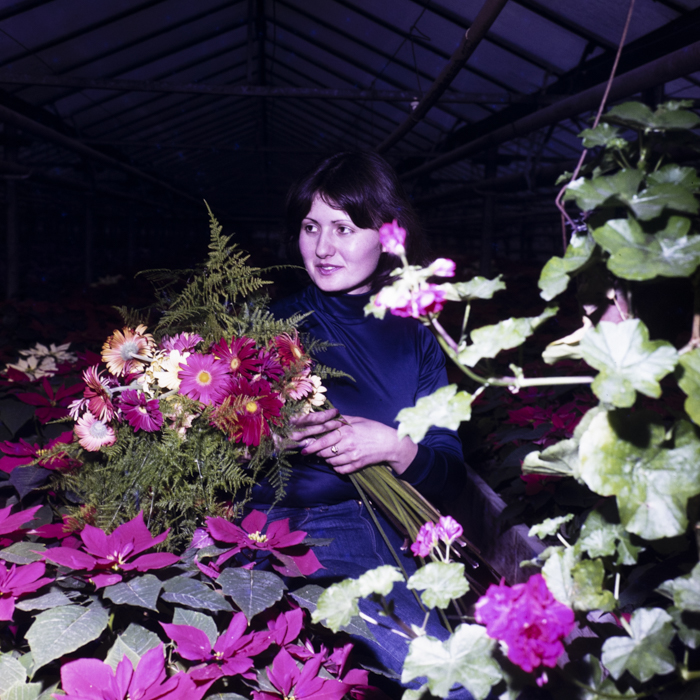 minerva_dn_1983_2636_serele_din_arad_002