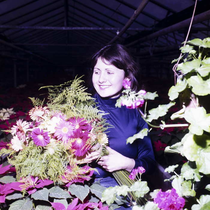 minerva_dn_1983_2636_serele_din_arad_004