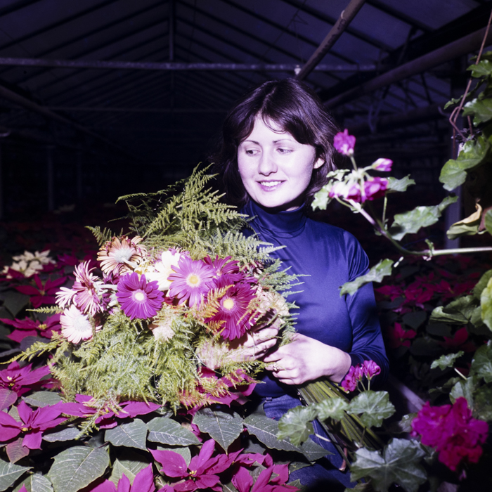 minerva_dn_1983_2636_serele_din_arad_005