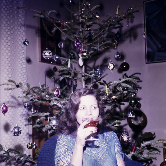 minerva_dn_1983_2637_pom_de_iarna_001