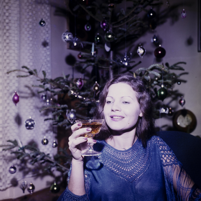 minerva_dn_1983_2637_pom_de_iarna_003