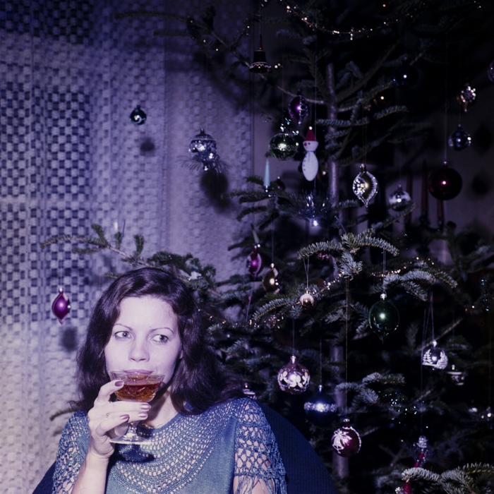 minerva_dn_1983_2637_pom_de_iarna_005