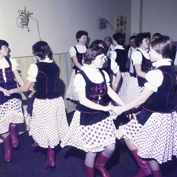 minerva_dn_1983_2642_jud.satu_mare_001