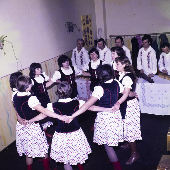 minerva_dn_1983_2642_jud.satu_mare_002