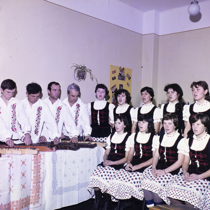 minerva_dn_1983_2642_jud.satu_mare_004