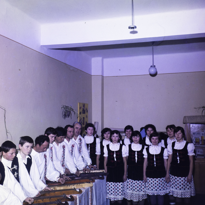 minerva_dn_1983_2642_jud.satu_mare_005