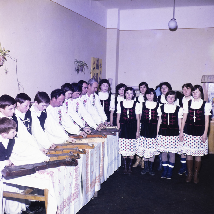 minerva_dn_1983_2642_jud.satu_mare_006