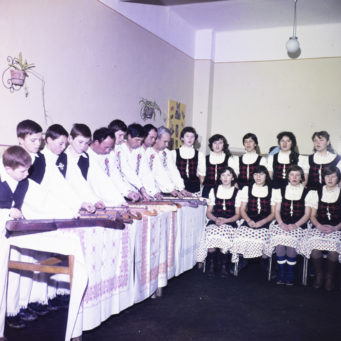 minerva_dn_1983_2642_jud.satu_mare_007