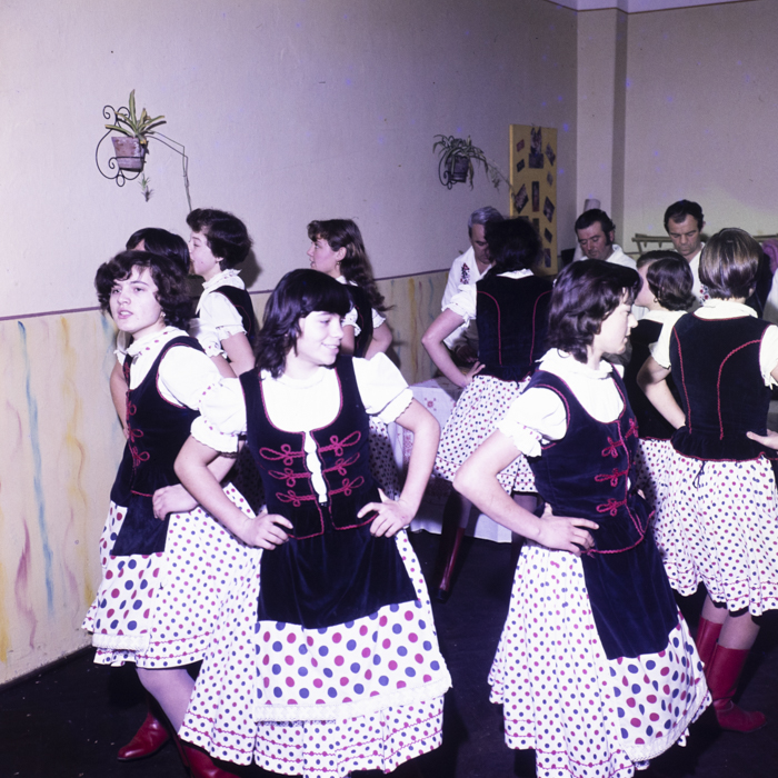 minerva_dn_1983_2642_jud.satu_mare_008