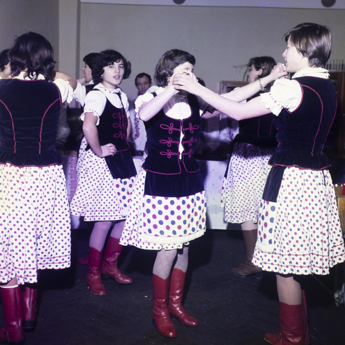 minerva_dn_1983_2642_jud.satu_mare_009