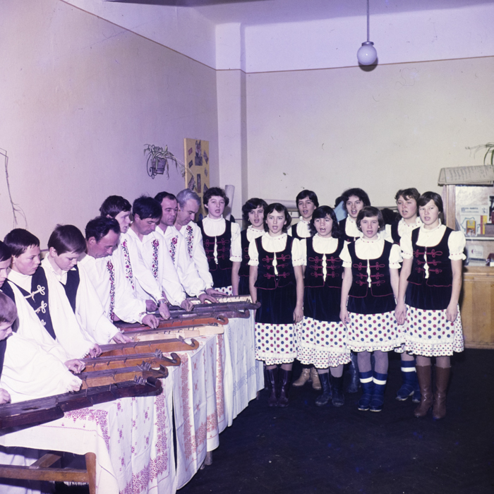 minerva_dn_1983_2642_jud.satu_mare_010