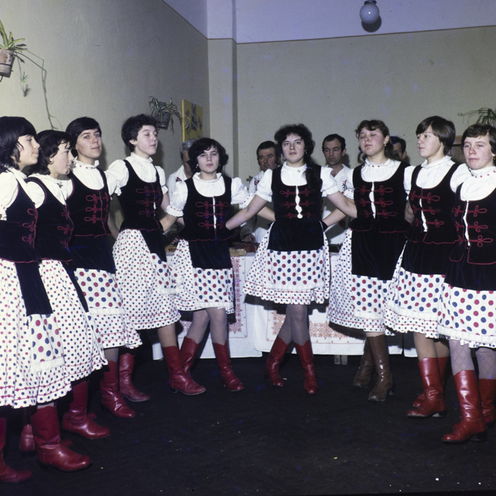 minerva_dn_1983_2642_jud.satu_mare_011