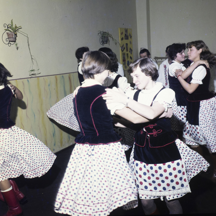 minerva_dn_1983_2642_jud.satu_mare_012