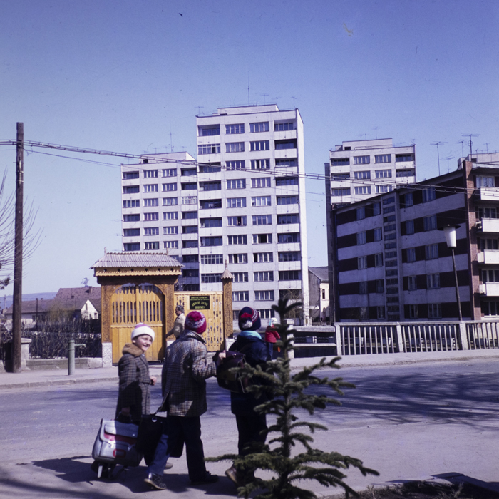 minerva_dn_1983_2648_odorhei_tinere_conf_010