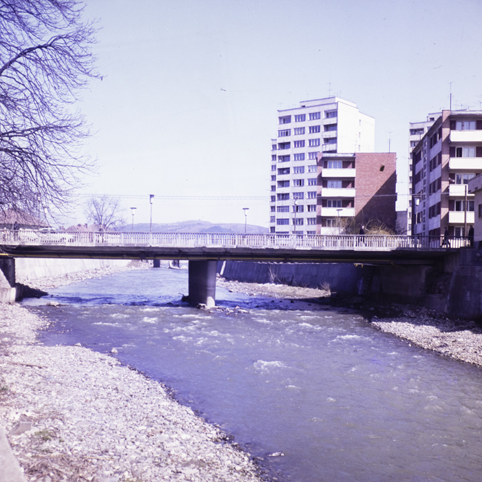 minerva_dn_1983_2648_odorhei_tinere_conf_016