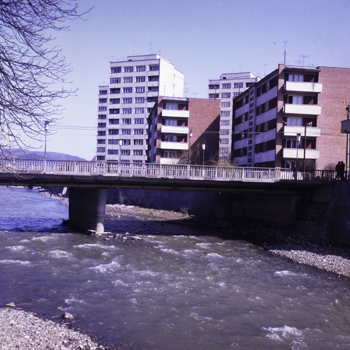 minerva_dn_1983_2648_odorhei_tinere_conf_018