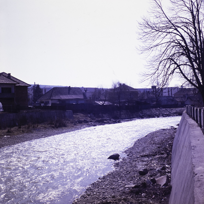 minerva_dn_1983_2648_odorhei_tinere_conf_019