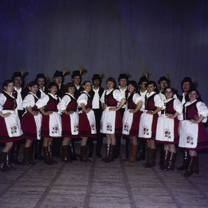 minerva_dn_1983_2649_tineri_in_costume_populare_001