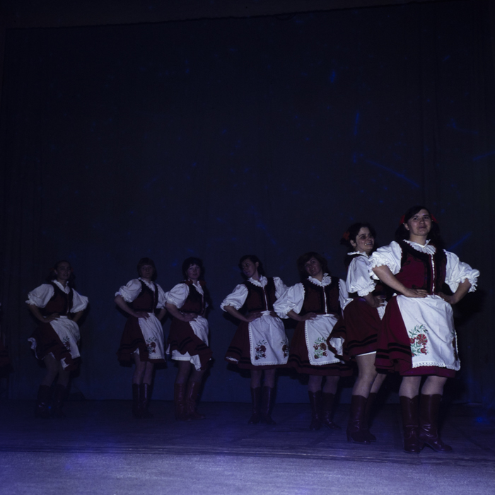 minerva_dn_1983_2649_tineri_in_costume_populare_004