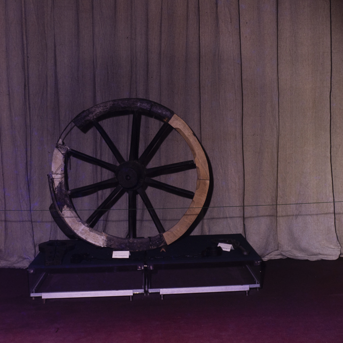 minerva_dn_1983_2676_alba_iulia_020