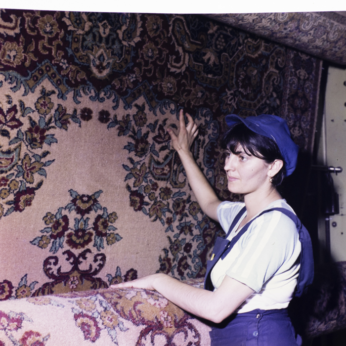 minerva_dn_1983_2676_alba_iulia_024