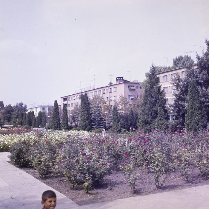 minerva_dn_1983_2678_medgidia_011