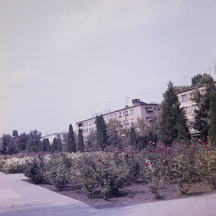 minerva_dn_1983_2678_medgidia_012