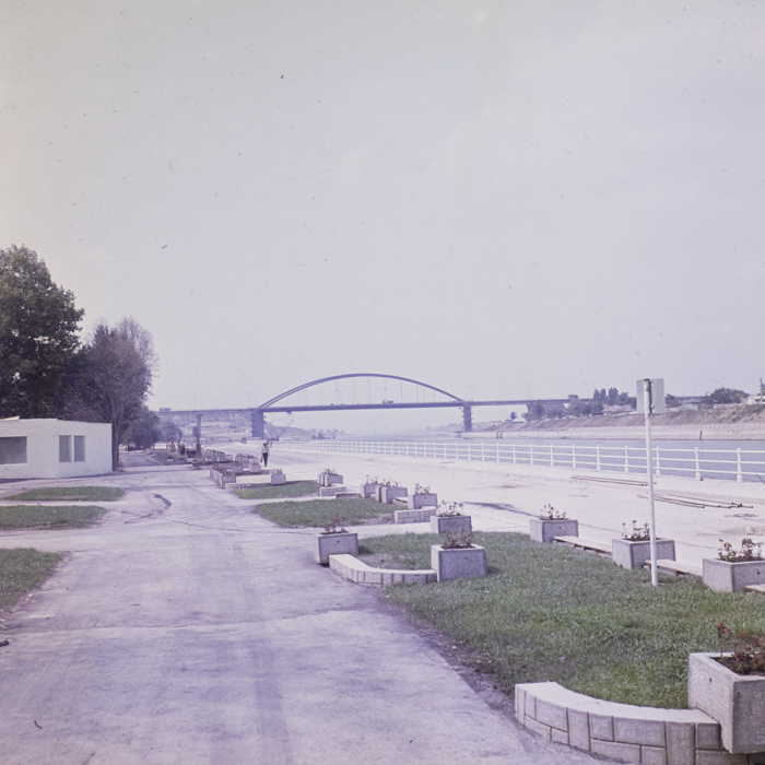 minerva_dn_1983_2678_medgidia_013