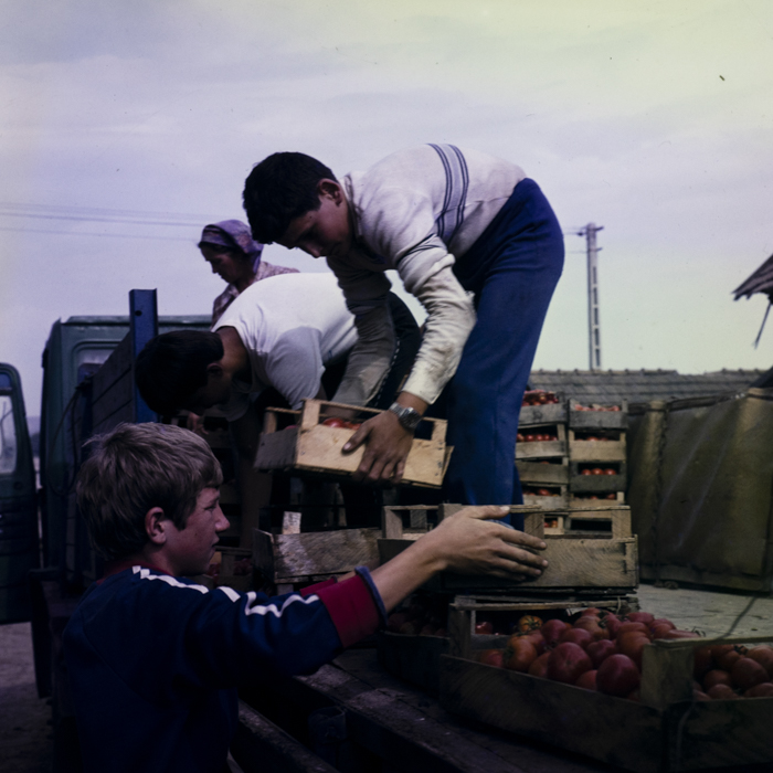 minerva_dn_1983_2680_C.A.P_mihai_viteazul_003