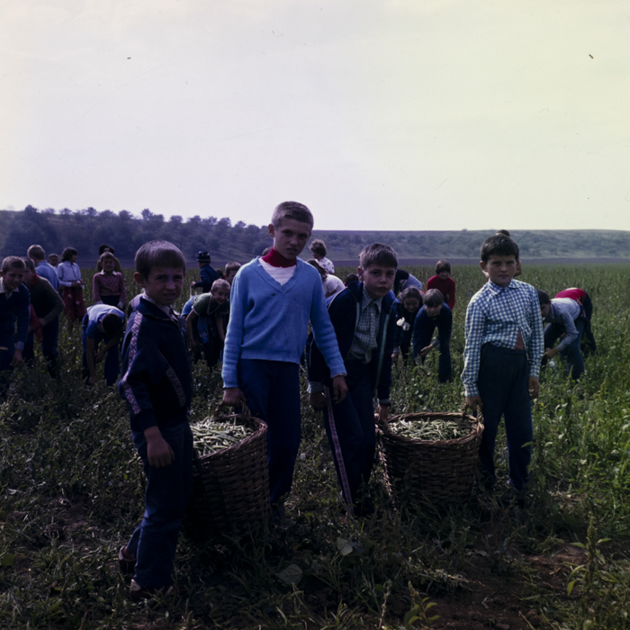 minerva_dn_1983_2680_C.A.P_mihai_viteazul_004