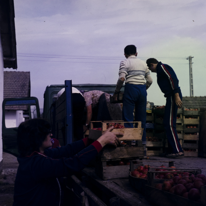 minerva_dn_1983_2680_C.A.P_mihai_viteazul_005